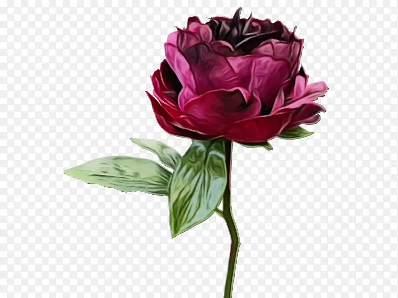 ˮ�� ���� ʪī-������