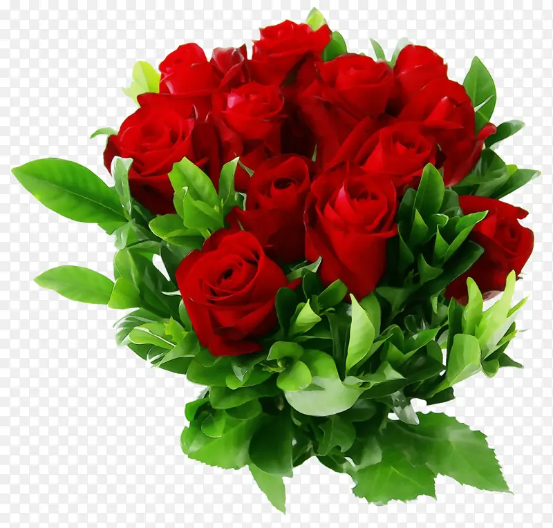 ˮ�� ���� ʪī-������