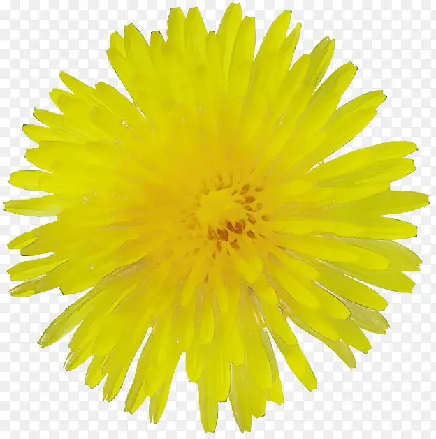 ˮ�ʻ� ���� ʪīˮ-������