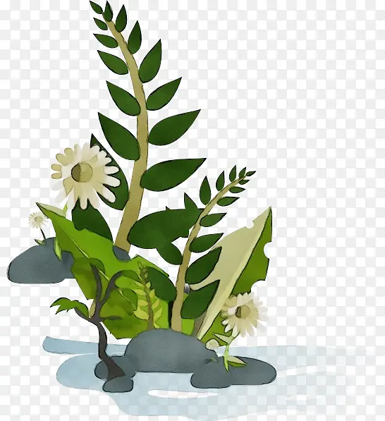 ˮ�� ���� ʪī-������