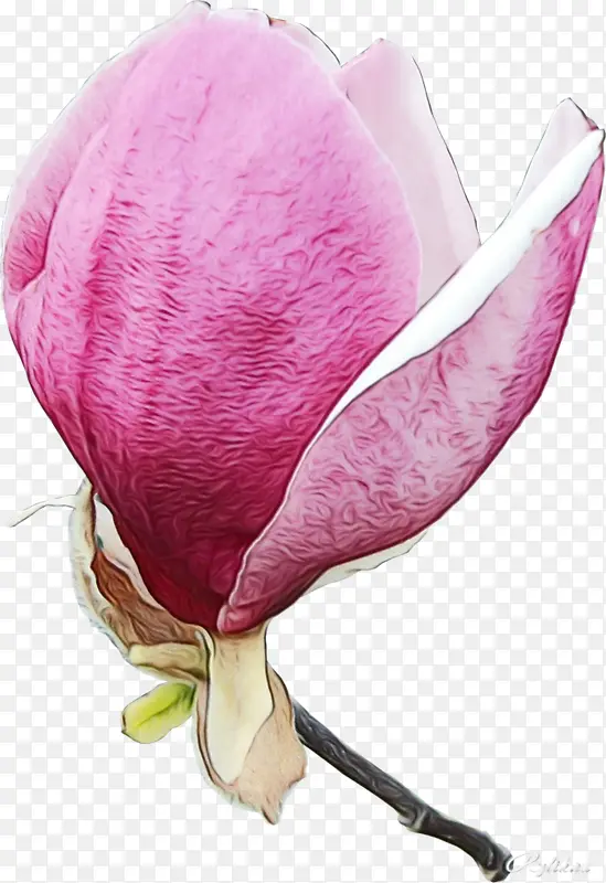 ˮ�� ���� ʪī-������