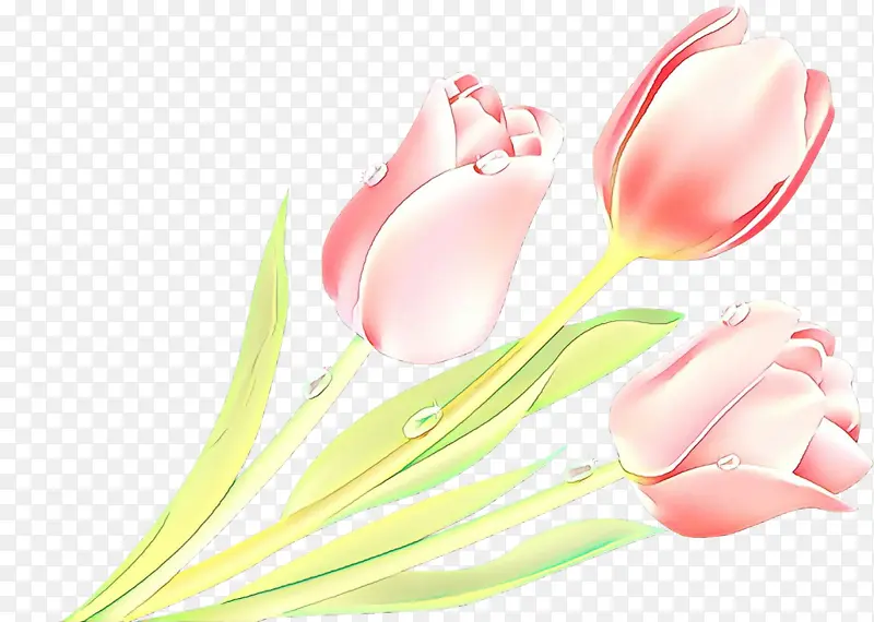 ��ͨ ��ɫ ������-������