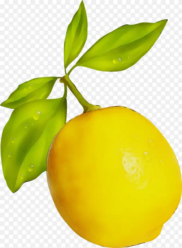 ˮ�ʻ� ���� ʪī-������