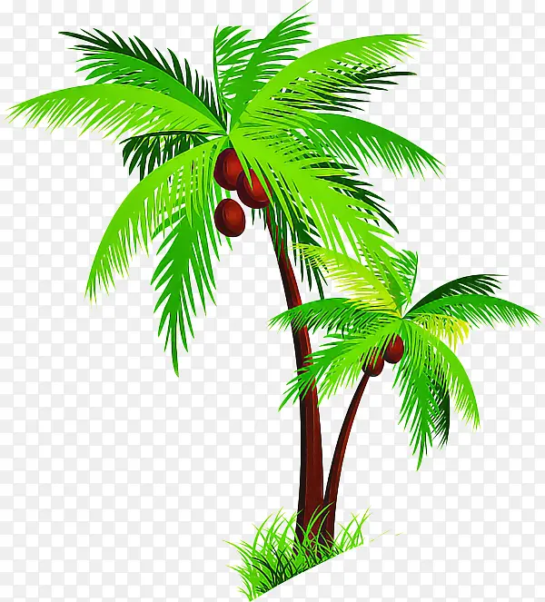 ��ľ ֲ�� Ҷ��-������