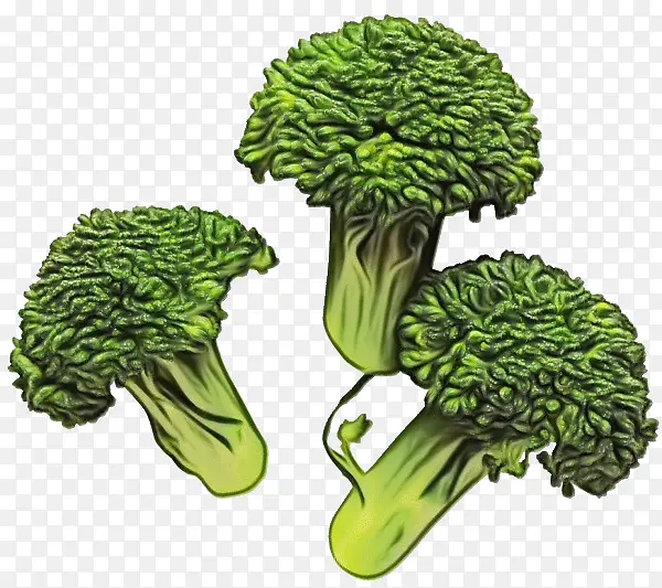 ˮ�� ���� ʪīˮ-������