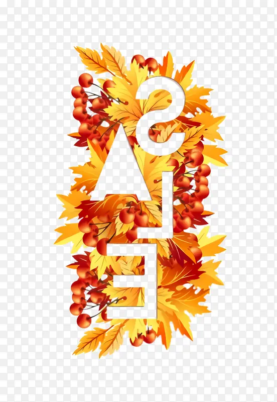 ��ɫ ����ɫ ����-������