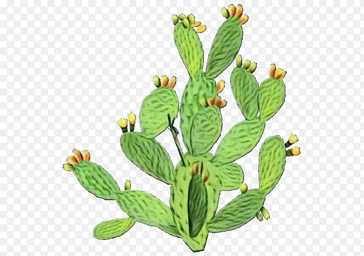 ˮ�ʻ� ���� ʪī-������