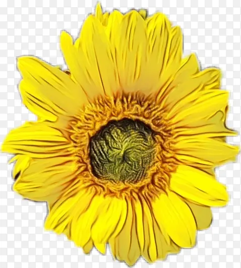 ˮ�� ���� ʪī-������