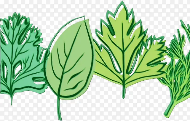 ˮ�ʻ� ���� ʪī-������