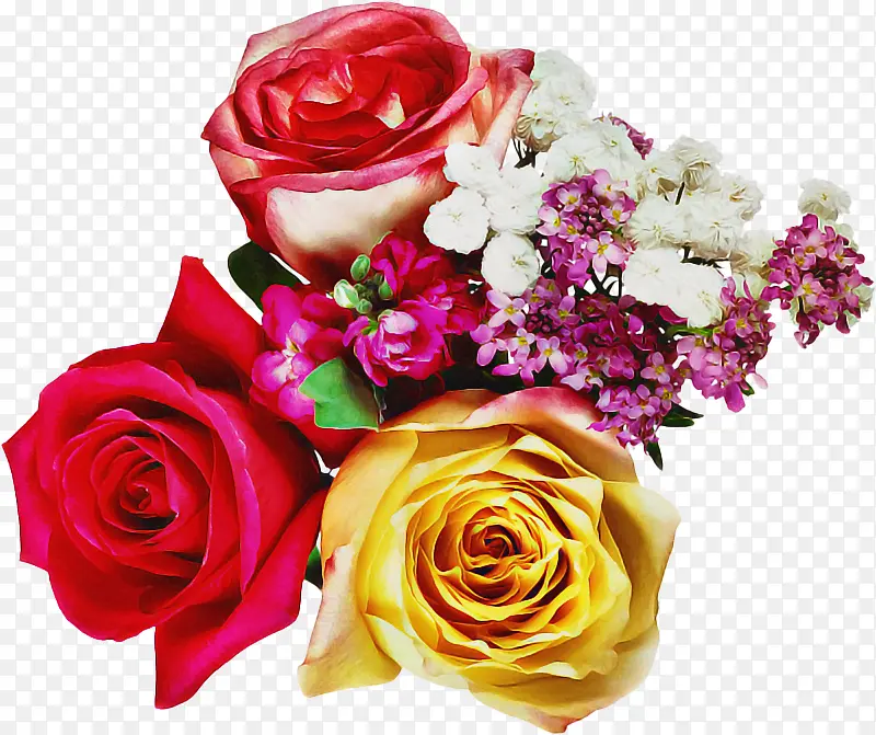 ���� ��԰õ�� õ��-������