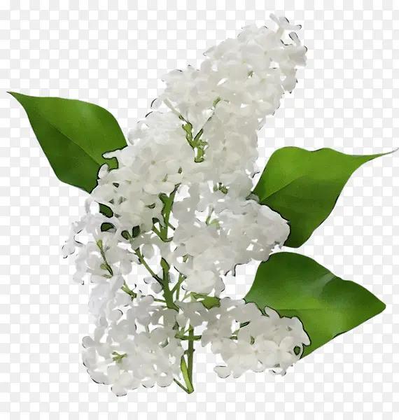 ˮ�� ���� ʪī-������