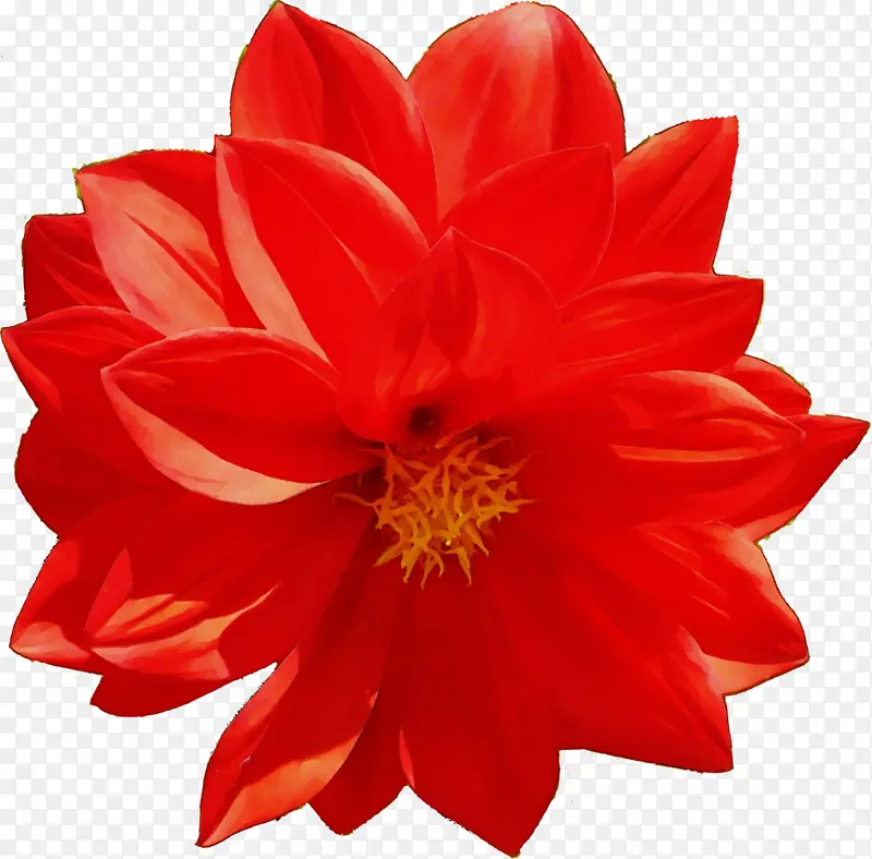 ˮ�� ���� ʪī-������