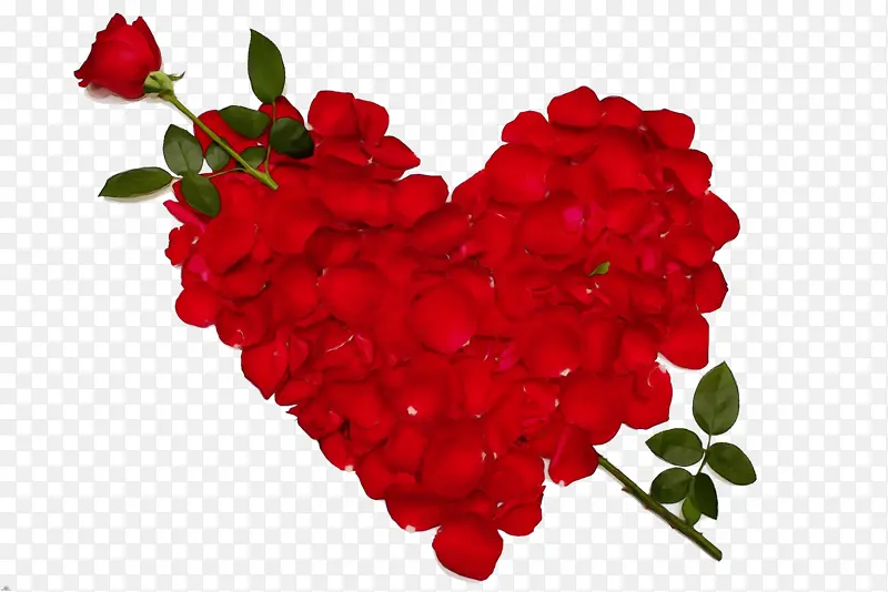 ˮ�� ���� ʪī-������