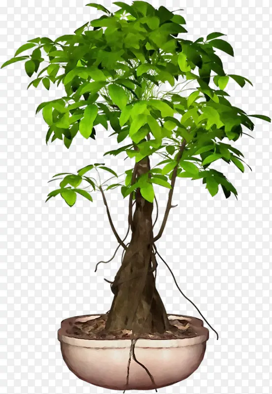 ˮ�� ���� ʪī-������