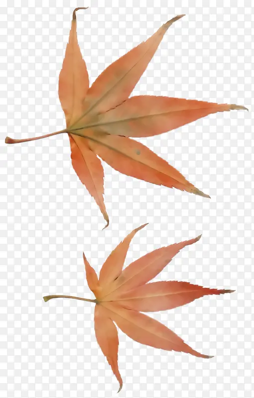 ˮ�ʻ� ���� ʪī-������