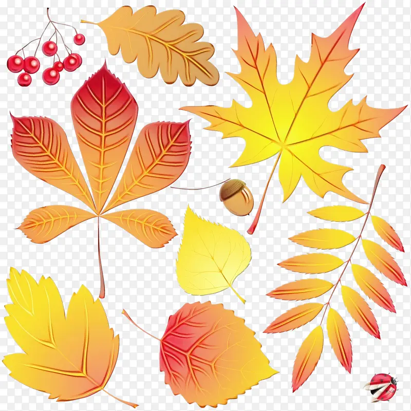 ˮ�ʻ� ���� ʪī-������