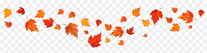 Ҷ�� ��ɫ ��ɫ-������