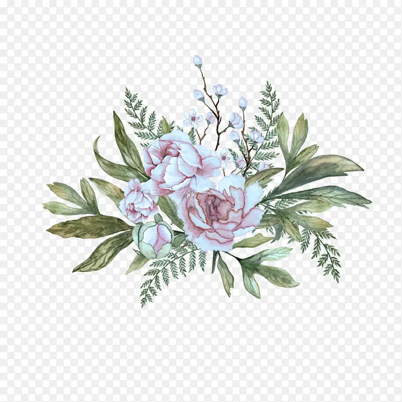 �� ֲ�� ����ֲ��-������