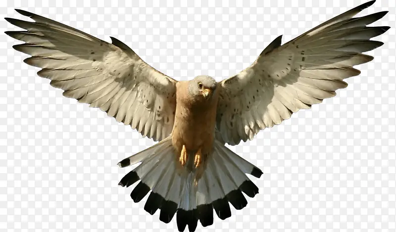 ��ͨ �� ���-������