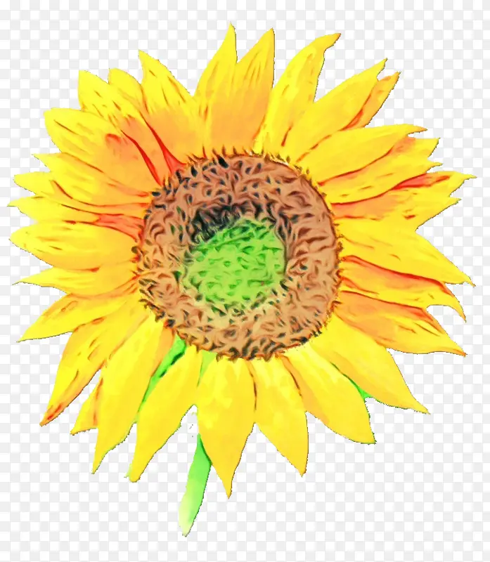 ˮ�ʻ� ���� ʪī-������