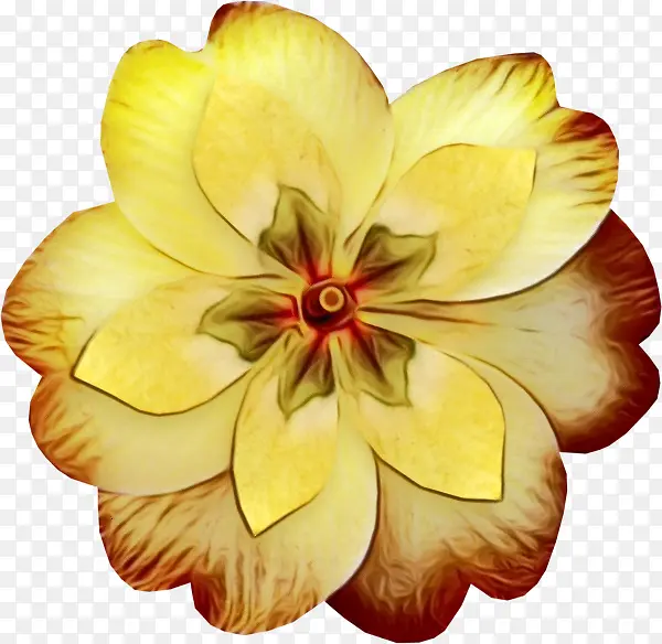 ˮ�ʻ� ���� ʪī-������