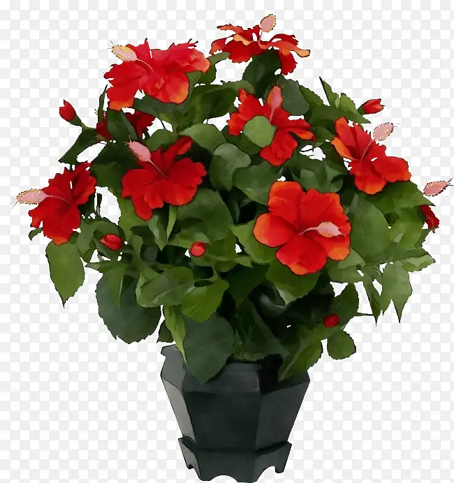 ˮ�� ���� ʪī-������