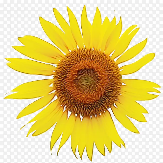 ˮ�ʻ� ���� ʪī-������