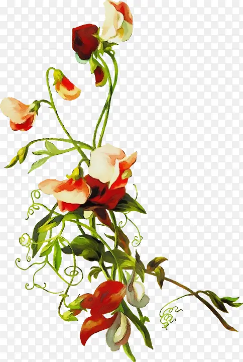 ˮ�� ���� ʪī-������