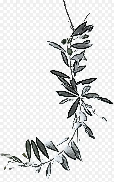 Ҷ ֲ�� ��-������