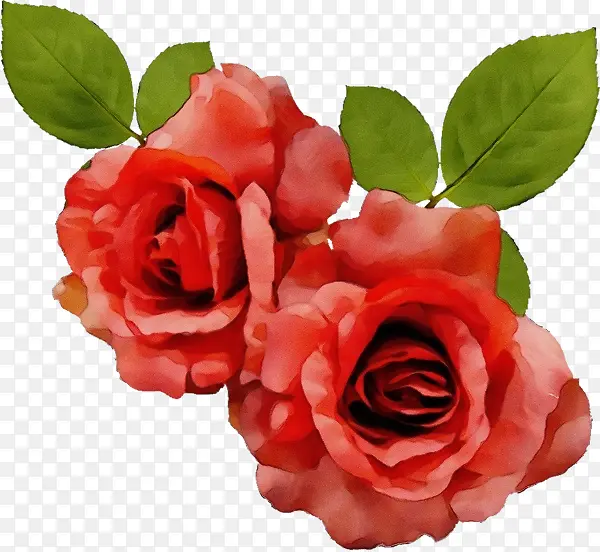 ˮ�ʻ� ���� ʪī-������