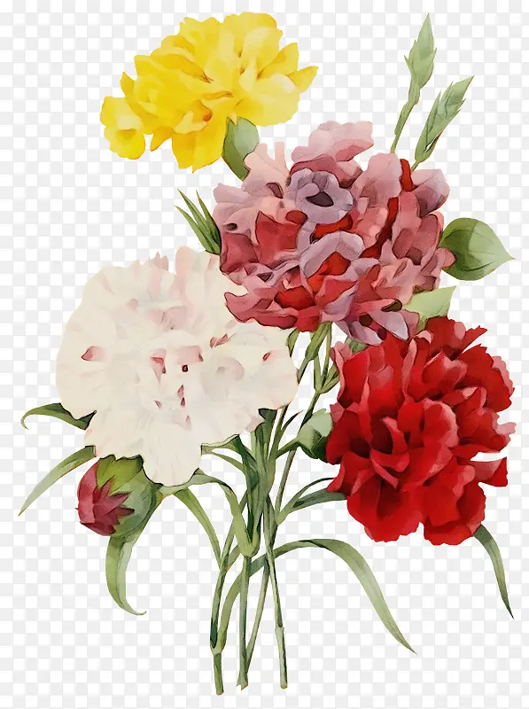 ˮ�� ���� ʪī-������