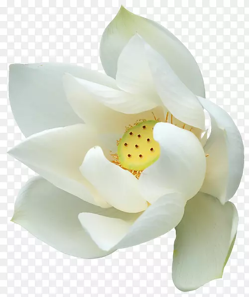 �廨����-�׻�-������