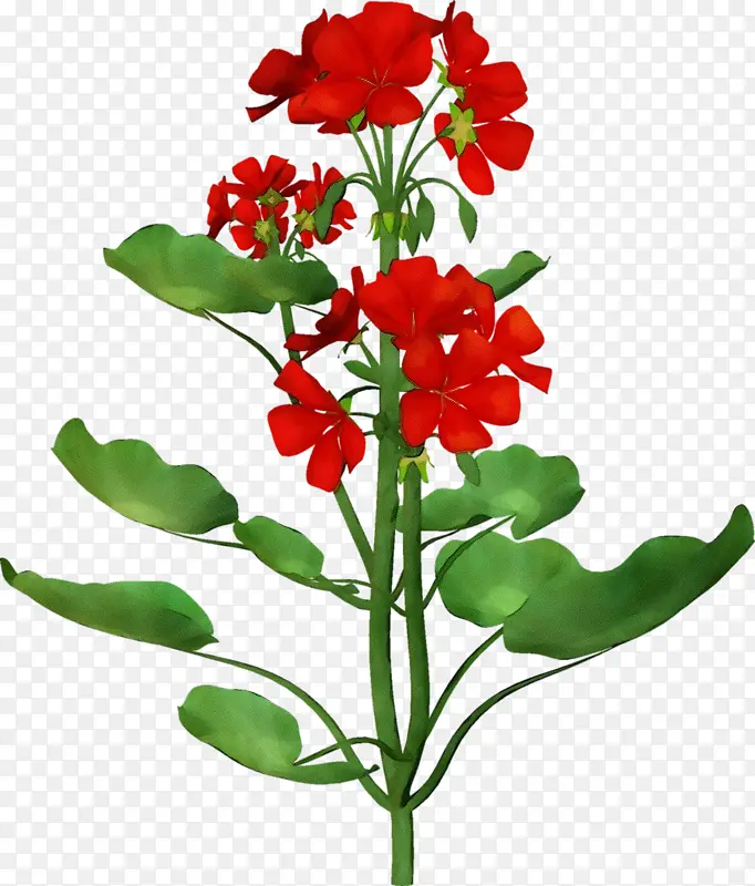 ˮ�ʻ� ���� ʪī-������