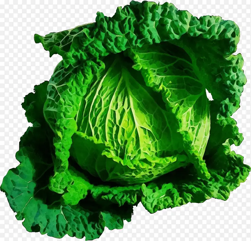 ˮ�ʻ� ���� ʪīˮ-������