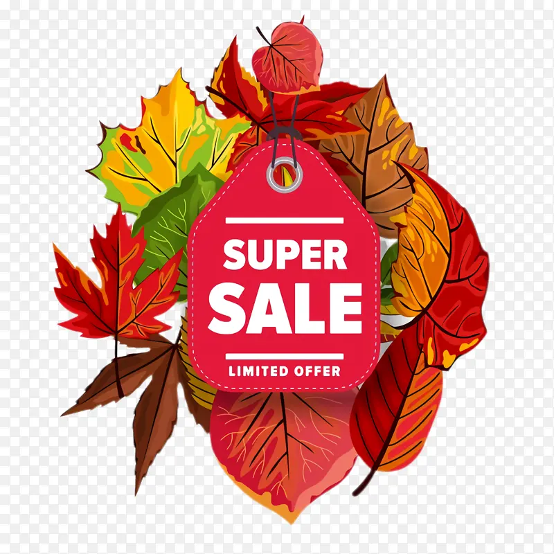 Ҷ�� �̱� ��-������