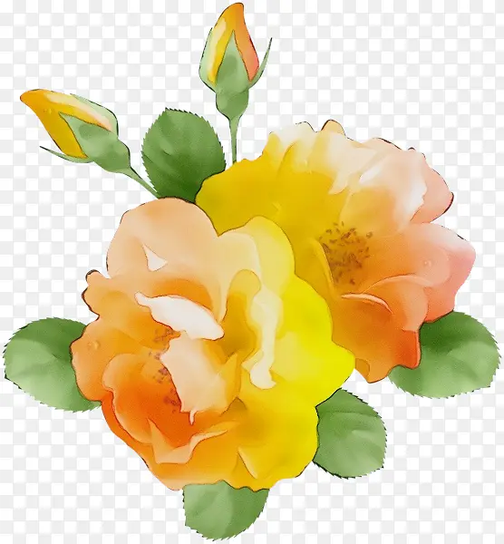 ˮ�ʻ� ���� ʪī-������