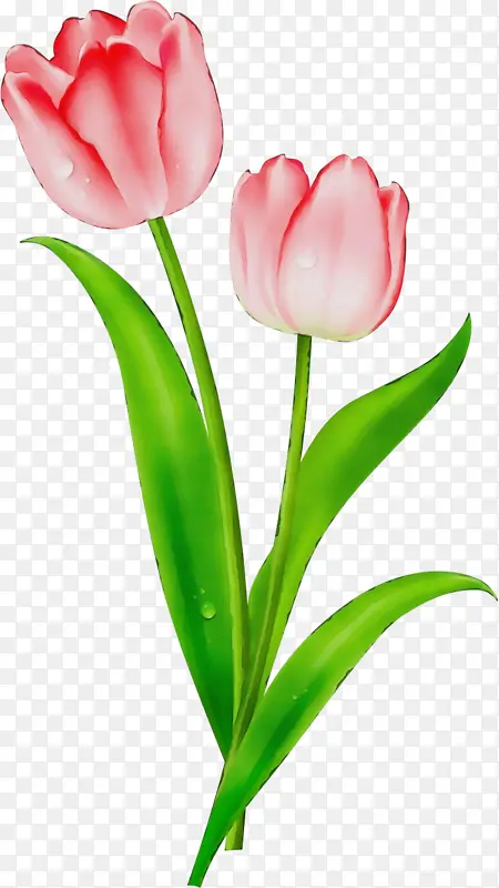 ˮ�� ���� ʪī-������