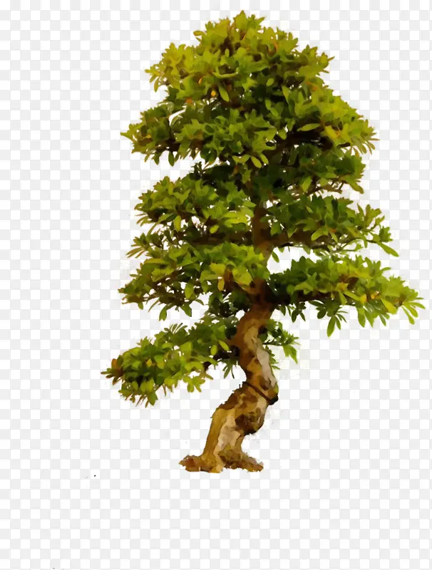 ˮ�� ���� ʪī-������