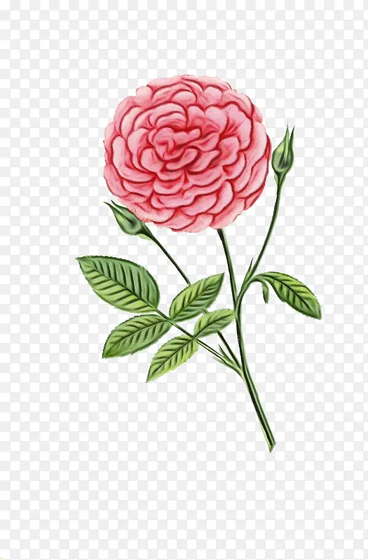 ˮ�� ���� ʪī-������