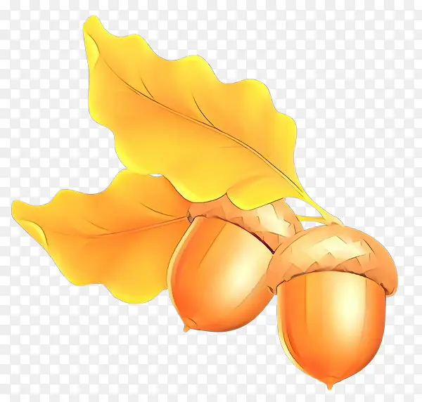 ��ͨ ��ɫ ��ɫ-������