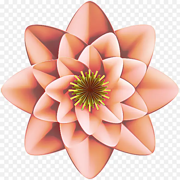 ���� �� ֲ��-������