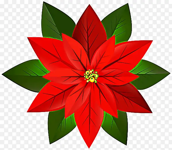 �� ��ɫ һƷ��-������