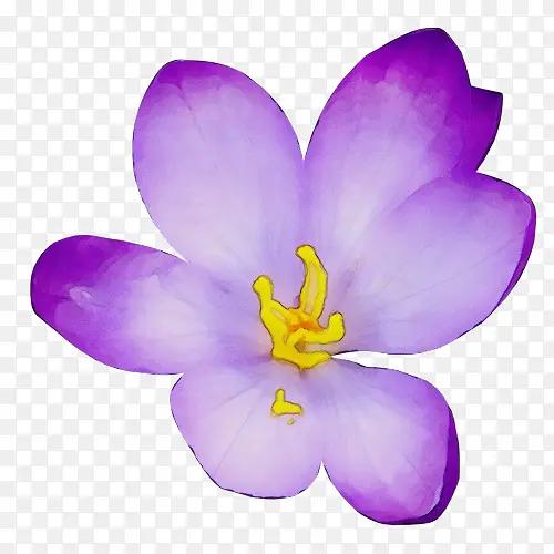 ˮ�� ���� ʪī-������