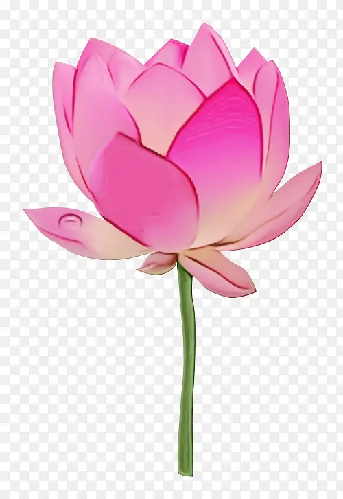 ˮ�� ���� ʪī-������