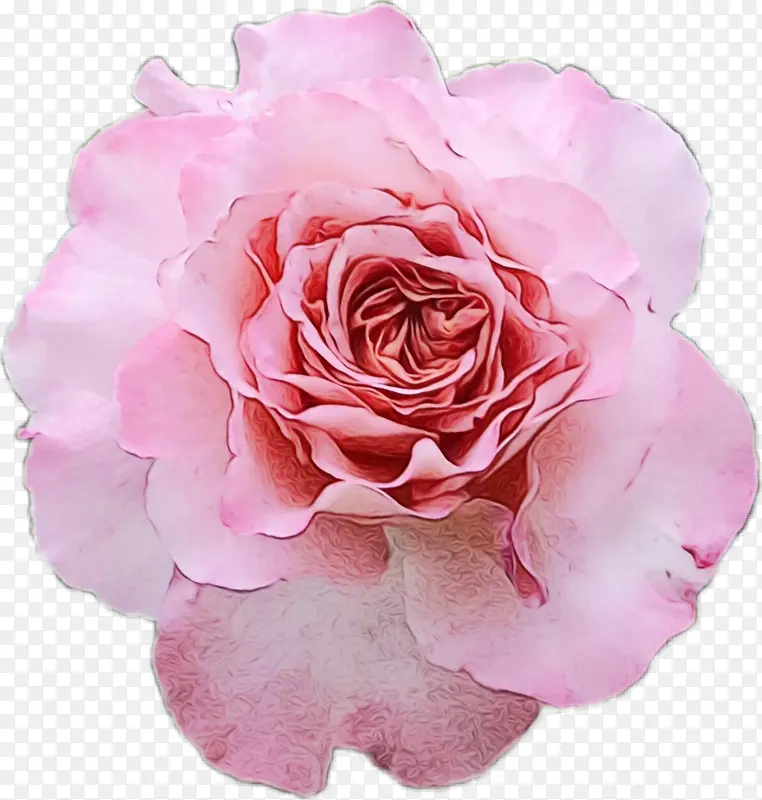 ˮ�� ���� ʪī-������