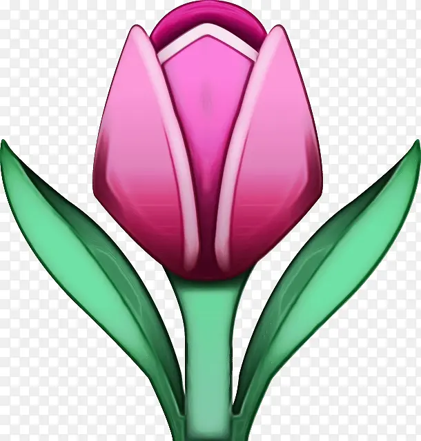 ˮ�� ���� ʪī-������