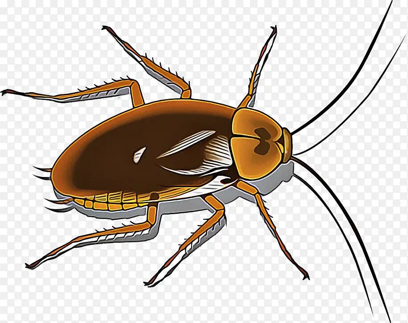 ���� ��� ����-������