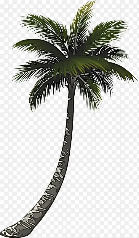 �ɹ���Ʒ�� ����� ����-������