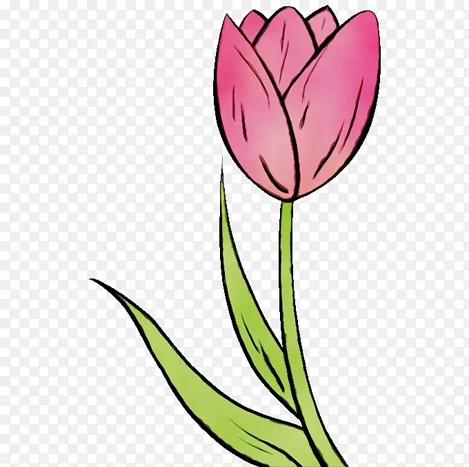 ˮ�� ���� ʪī-������