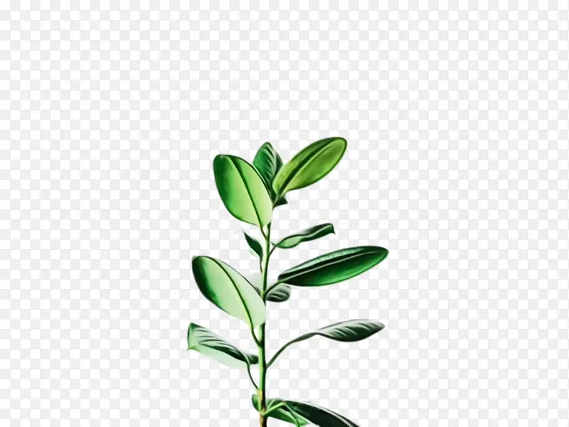 ˮ�ʻ� ���� ʪī-������